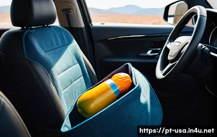 미국 로드트립 필수 준비물 - A detailed and vibrant scene inside a well-organized car during a long road trip in the USA, showing...