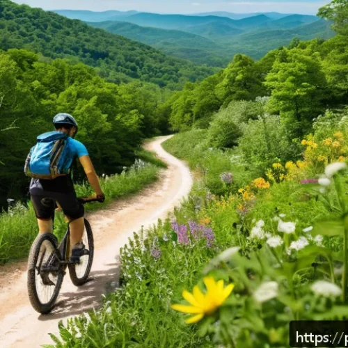 미국 자전거 여행 추천 루트 - A scenic and challenging mountain biking trail along the Appalachian Trail in spring, featuring dens...